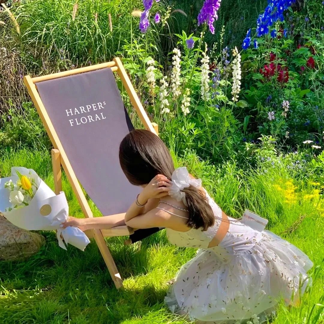 紧急审讯室 特别召集 2022 八亿日元的压岁钱