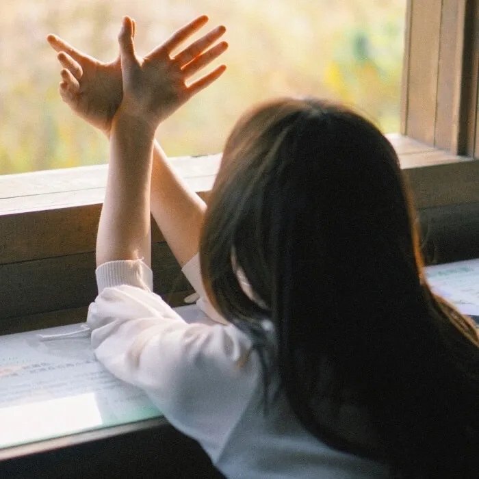 金太狼的幸福生活2012